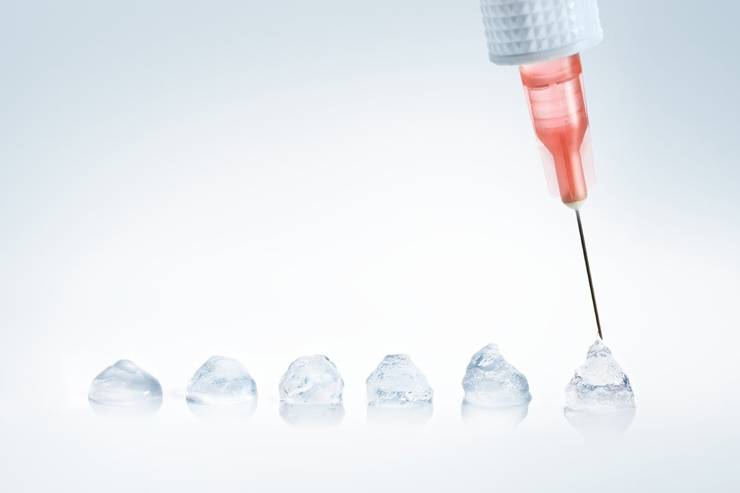 eLearning Courses on Fillers